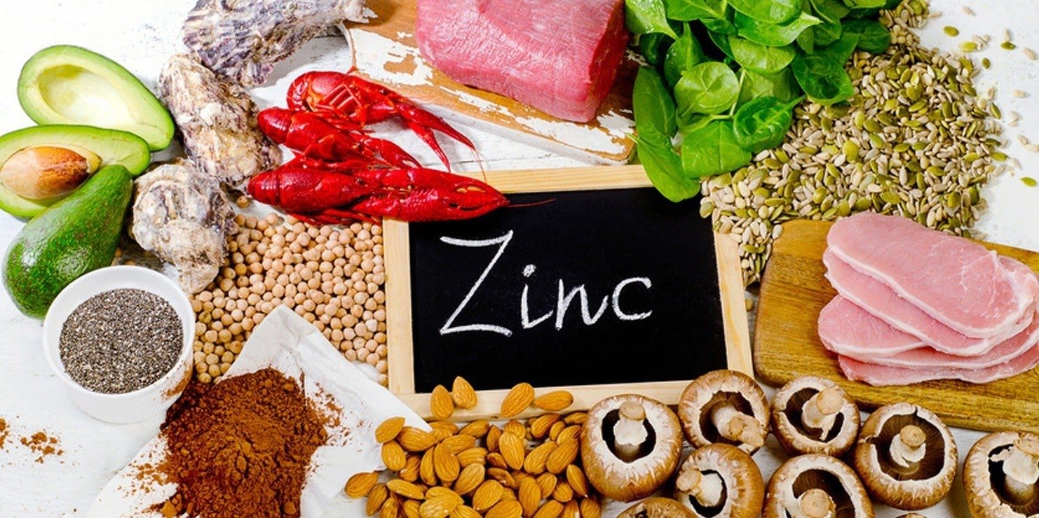 Zinc Et Testostérone Le Guide Complet 4133